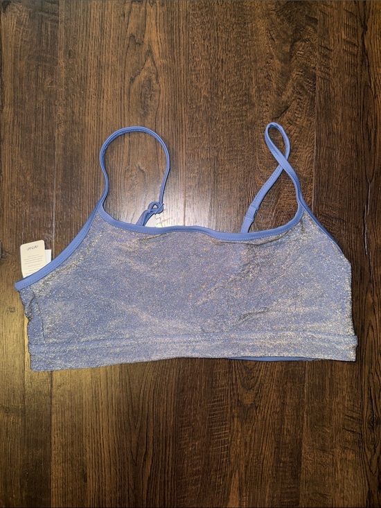 aerie Other - aerie Shimmery Bikini Top